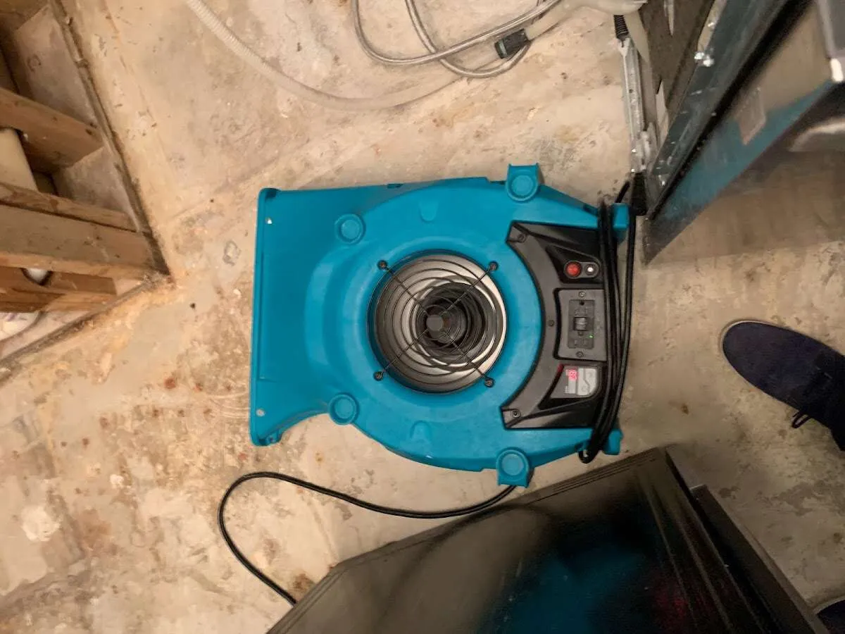 Air mover drying equipment for Mold Remediation & Removal in Sidney